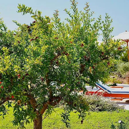 Tenuta La Nzegna * San Vito dei Normanni